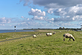 Wolken (3v9)_t.jpg